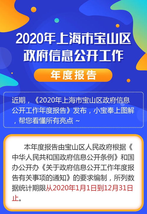 一图读懂2020年上海市宝山区政府信息公开工作年度报告 金融信息咨询